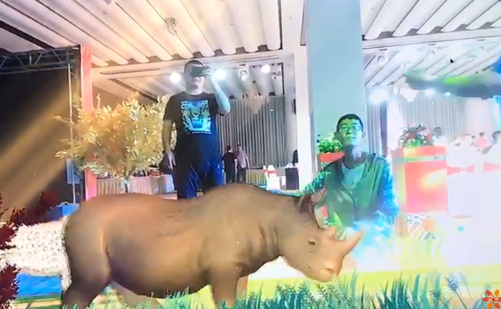 可爱的动物