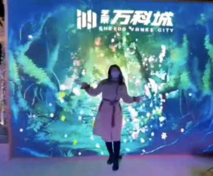 花朵墙