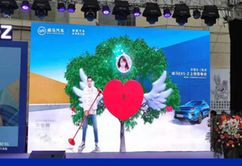 大树签到